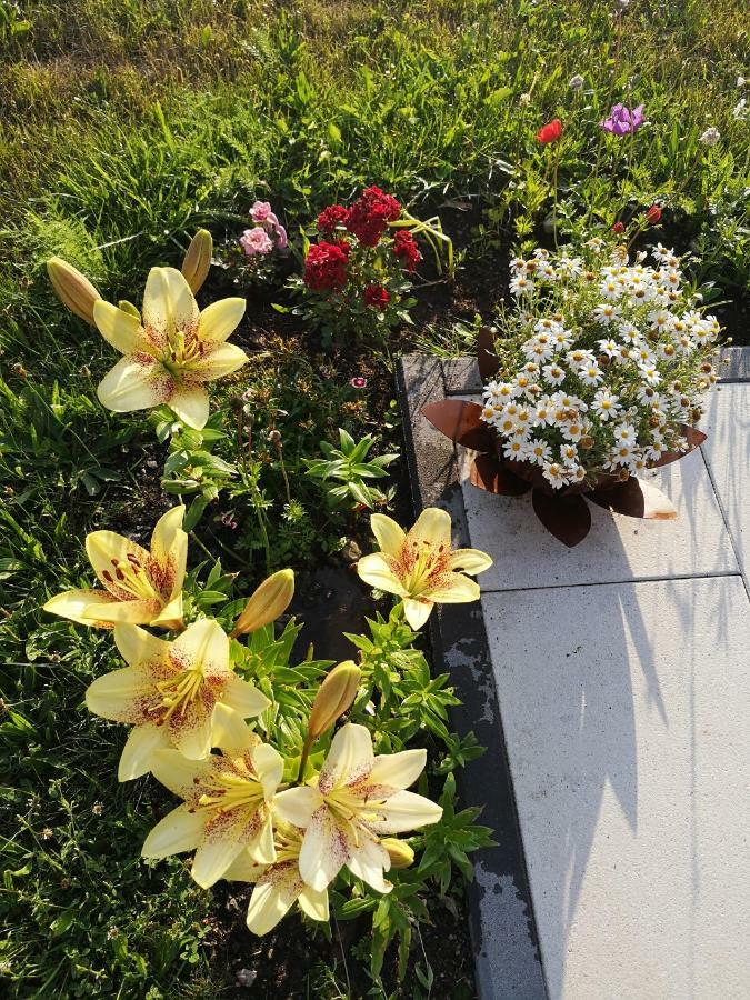 Ferienwohnung Lasshofer Mariapfarr Dış mekan fotoğraf